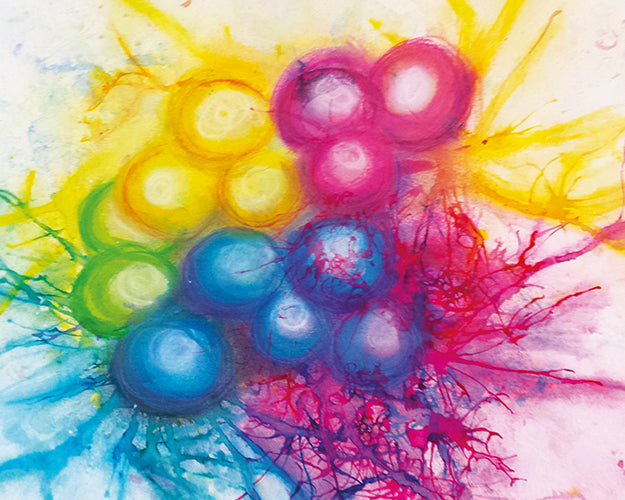 Online Mixed Media workshop inkt en softpastel sionasnel.com