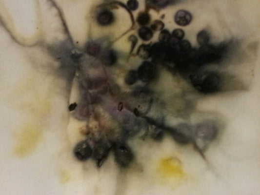 Workshop Eco Print op Textiel Siona Snel abstracte mixed media kunst en workshops