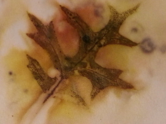 Workshop Eco Print op Textiel Siona Snel abstracte mixed media kunst en workshops