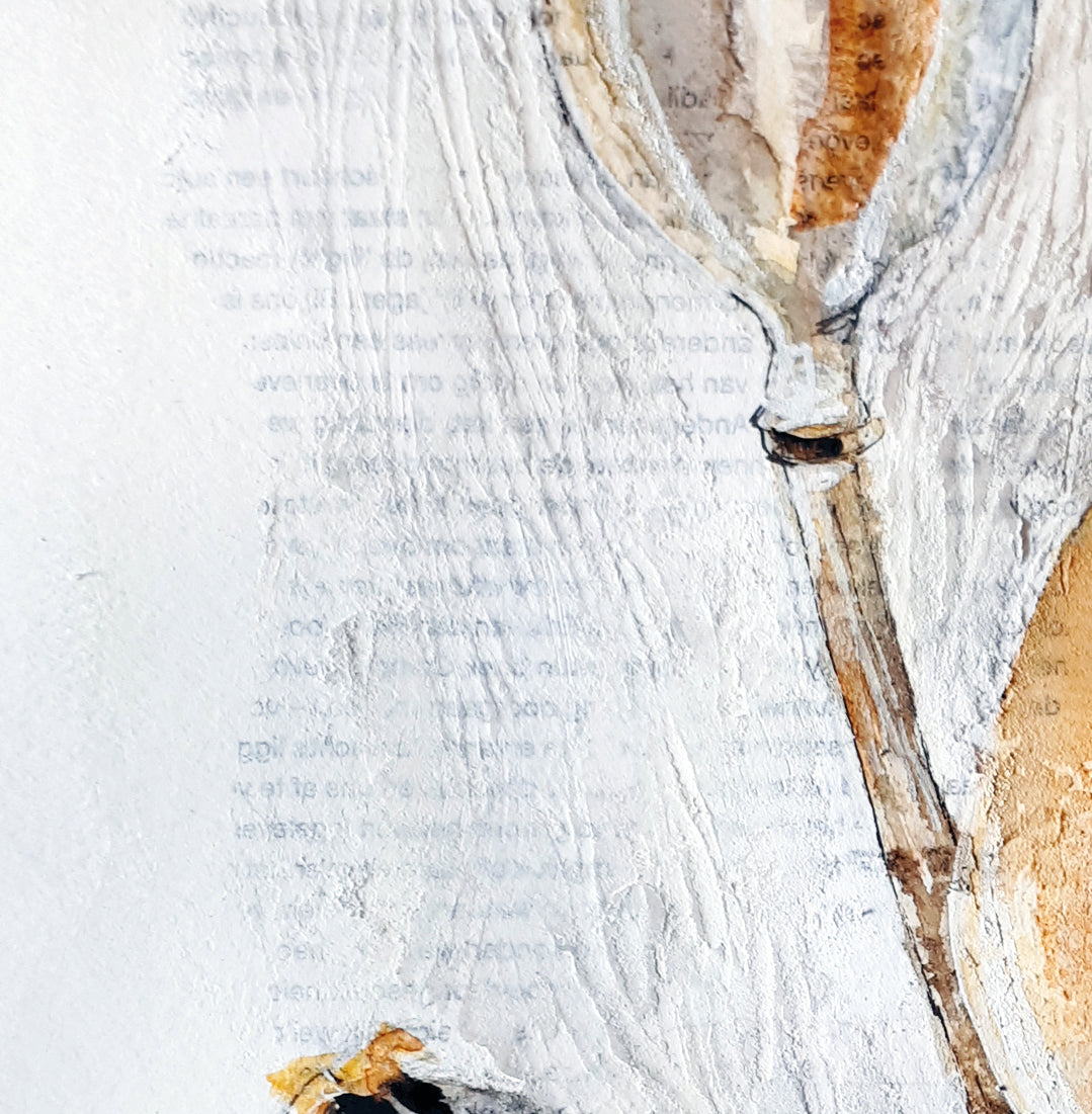 Korte cursus - Aquarel & Mixed Media (3 lessen) Siona Snel